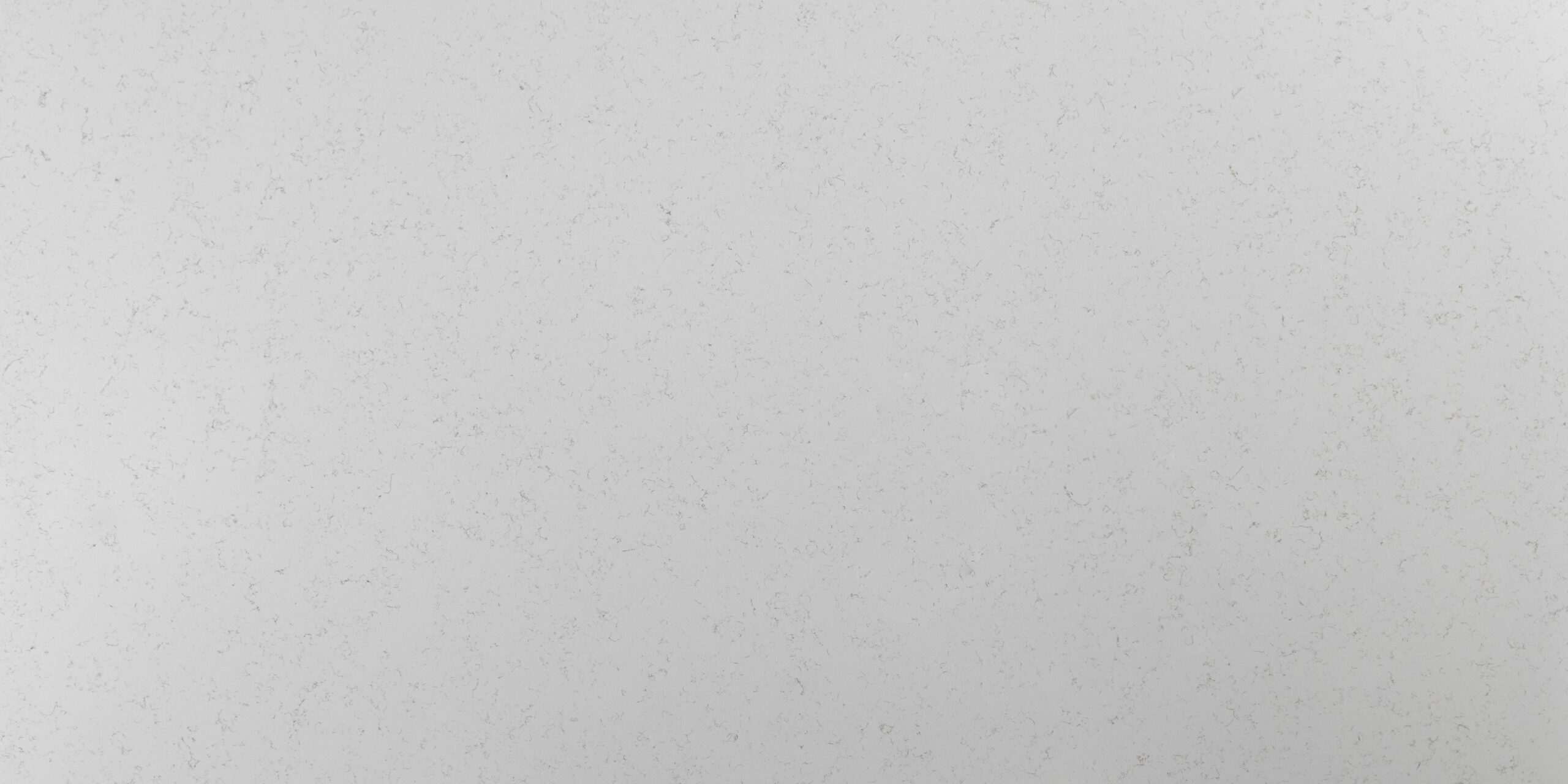 Full slab of Carrara Gold Quartz featuring a soft white background with delicate gray veining and subtle warm gold accents throughout.