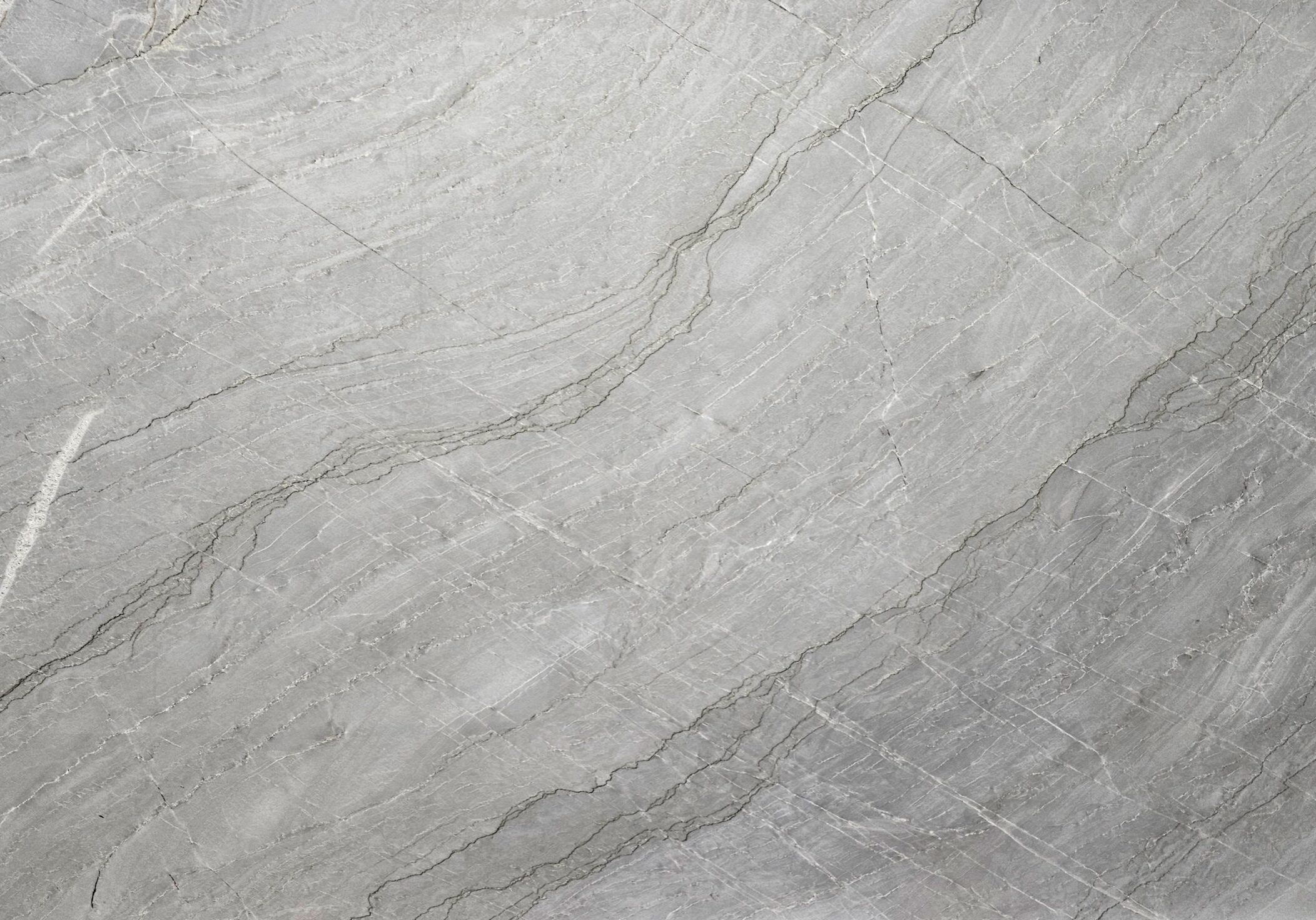 Detailed shot of the fine slate-grey veins and pearlescent white background.