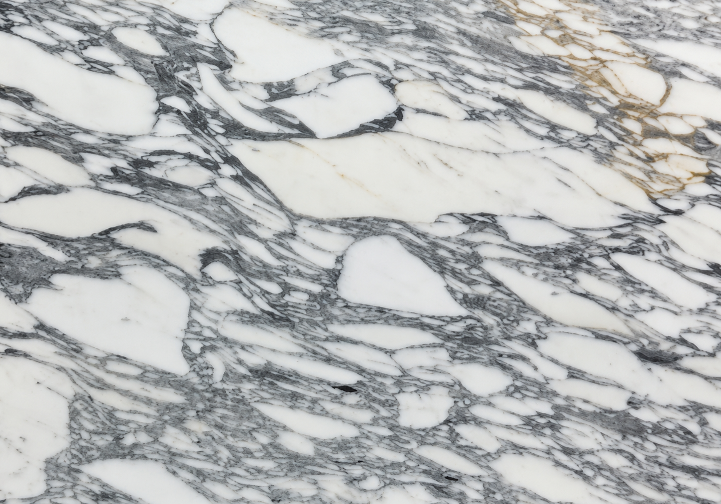 A detailed close-up shot of a classic Italian white marble surface highlighting the intricate crystalline structure and delicate, mineral-rich grey layers.