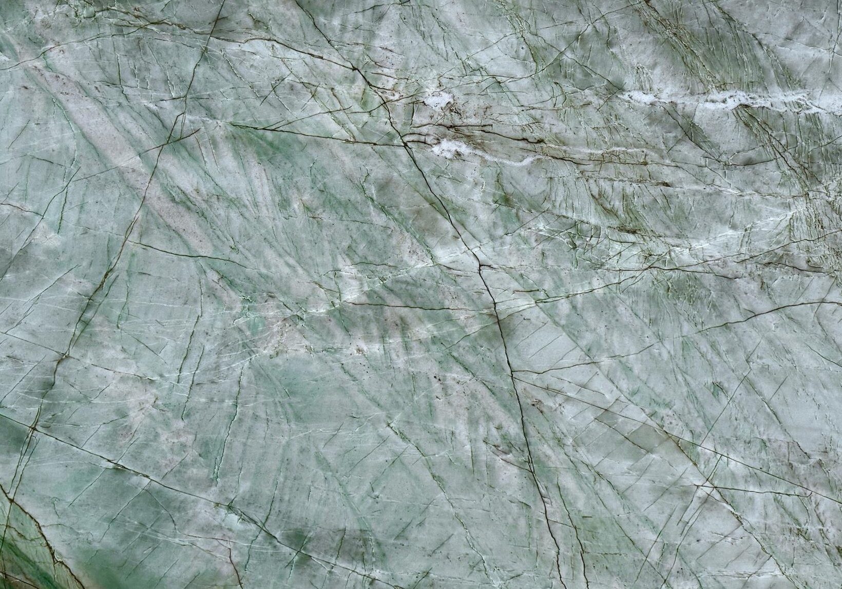Macro view showing crystalline details and veining.
