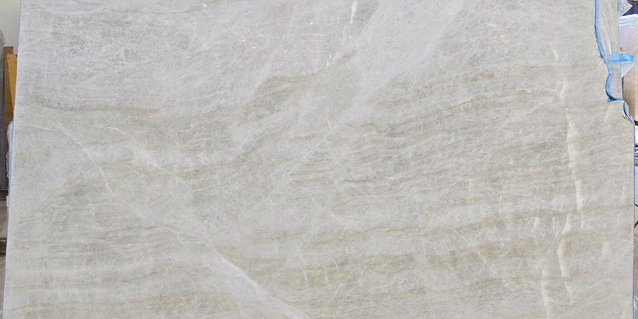 An open-book view of an ivory-toned quartzite surface exhibiting sophisticated, fine-lined linear grain structures.