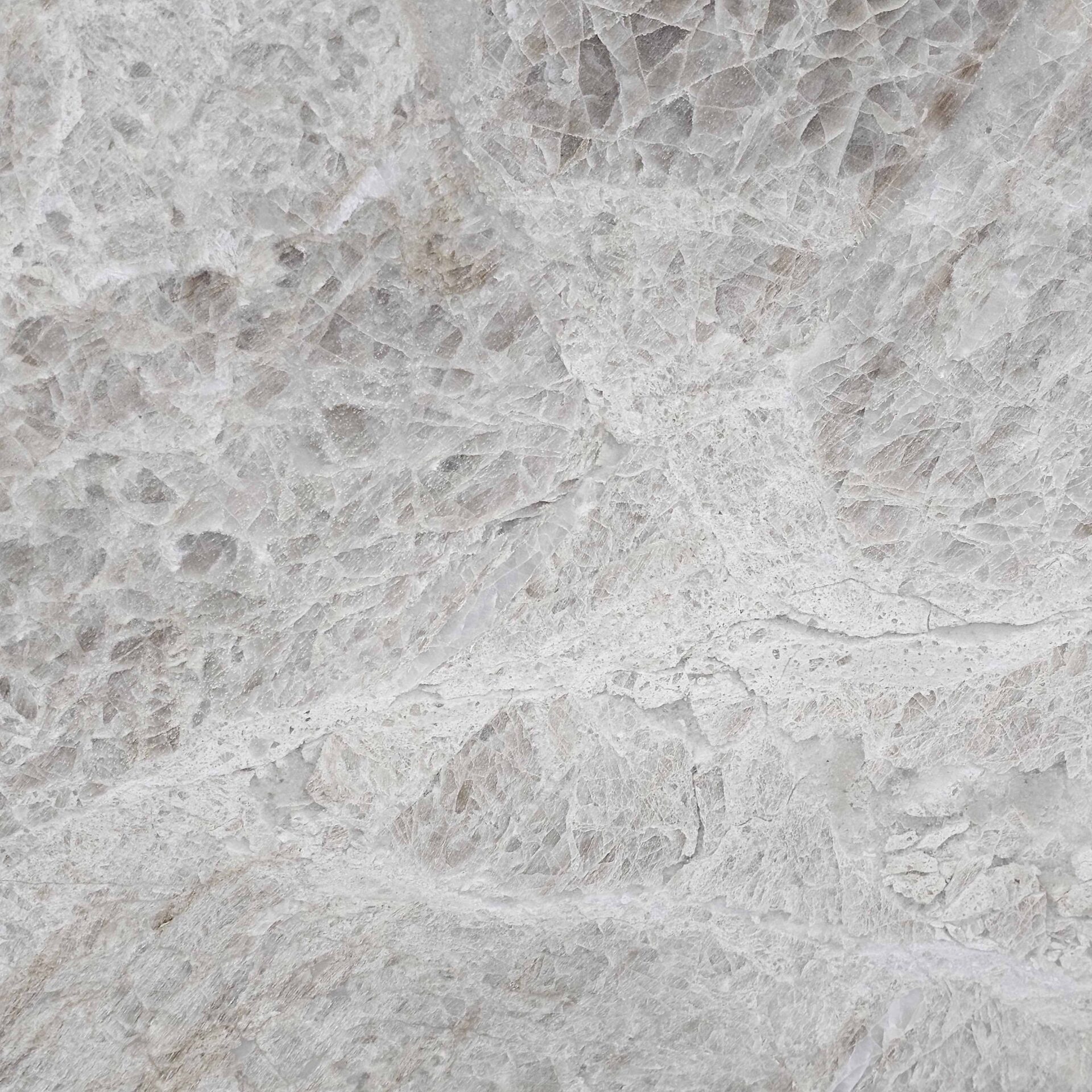 Detailed view of the pearlescent surface and sandy mineral veins of Perla Rocca Quartzite.