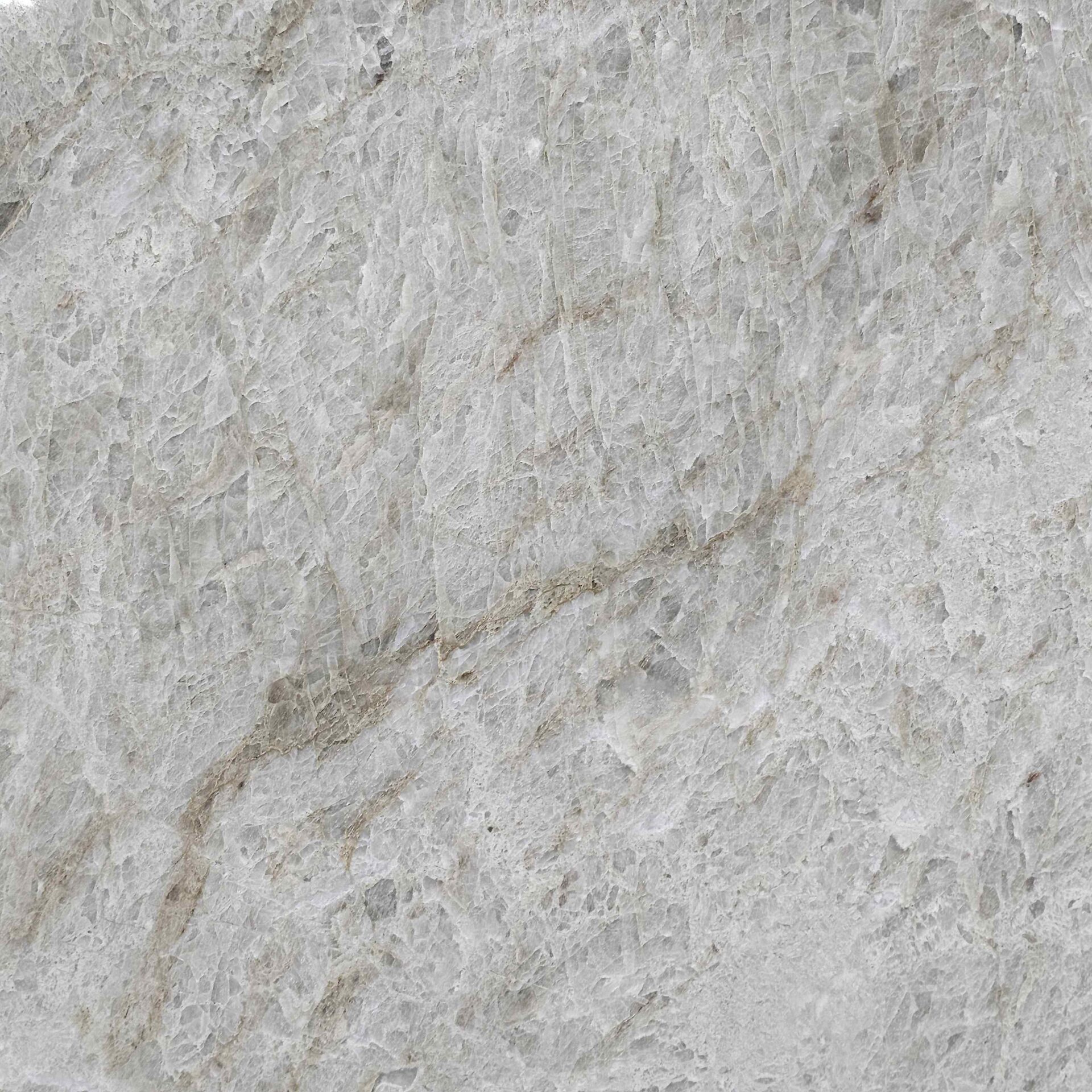 Macro shot of a polished natural stone slab highlighting its unique taupe and charcoal accents.