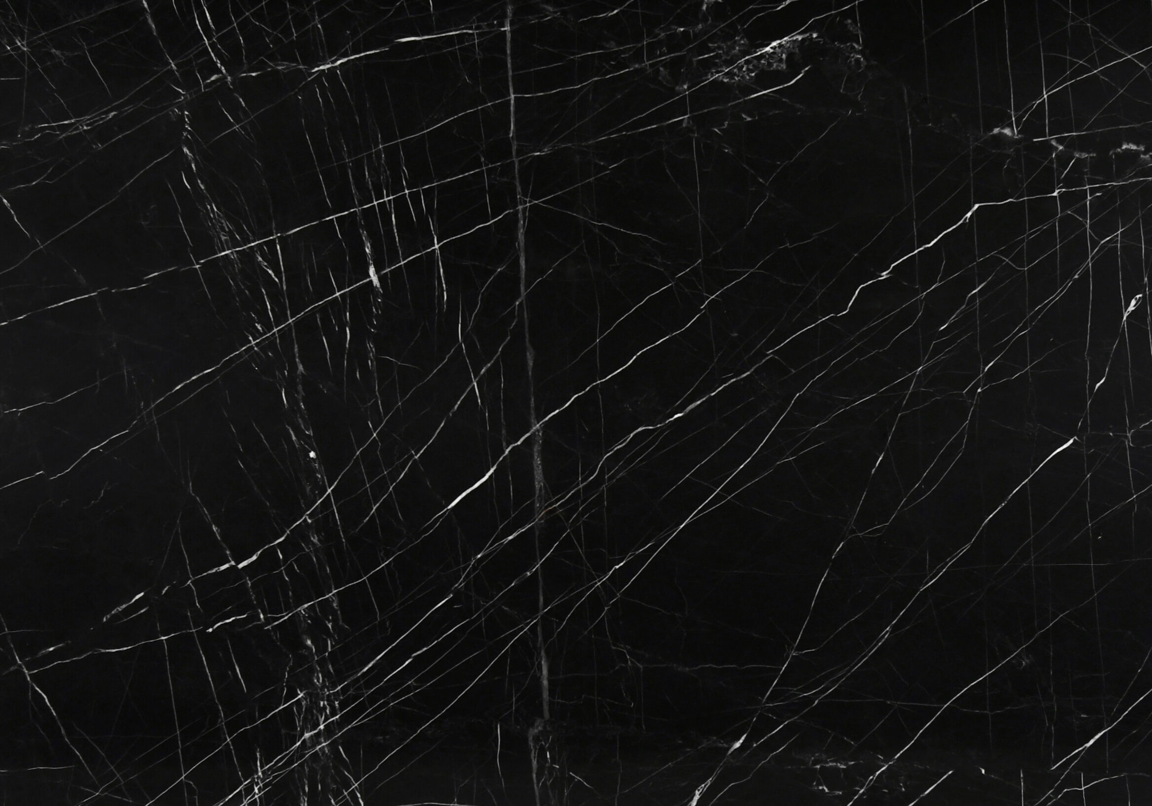 Premium black quartzite slab with a striking web of white lines, available at our quartzite store in Austin.