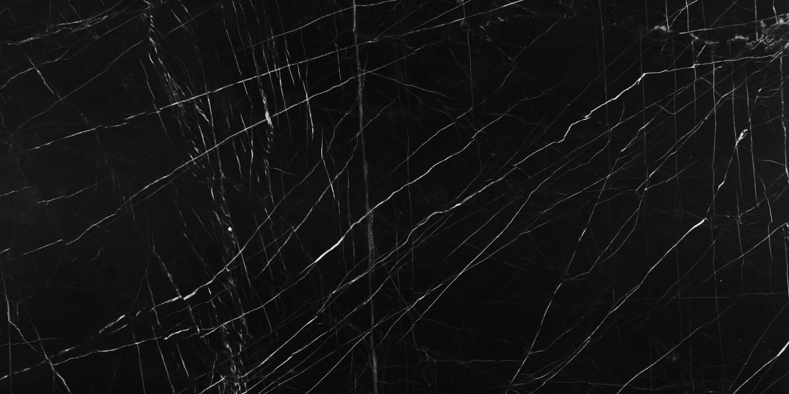 Premium black quartzite slab with a striking web of white lines, available at our quartzite store in Austin.