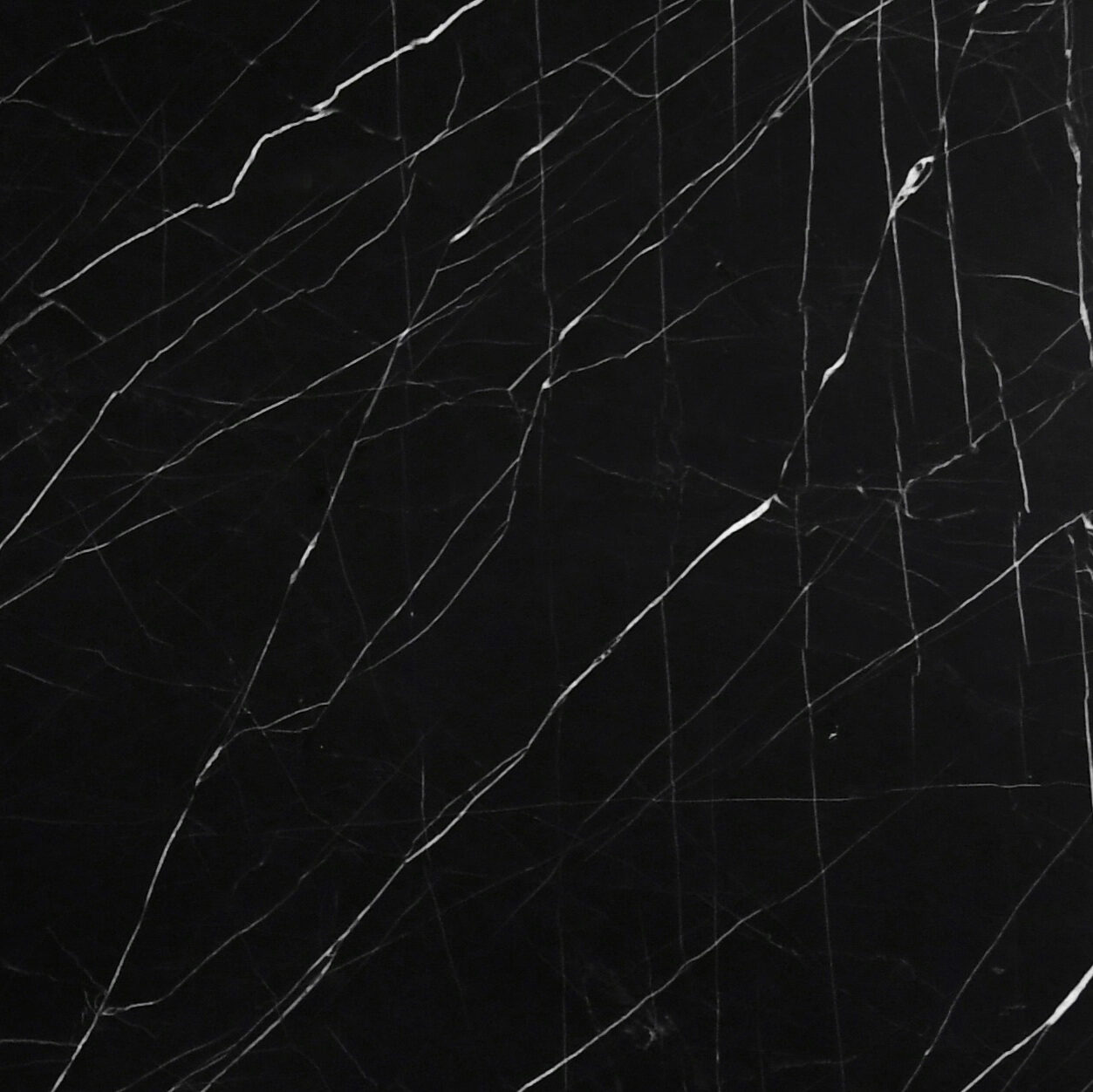 Extreme detail of the sharp, linear white veins cutting through the deep black crystalline surface of Venom Quartzite.