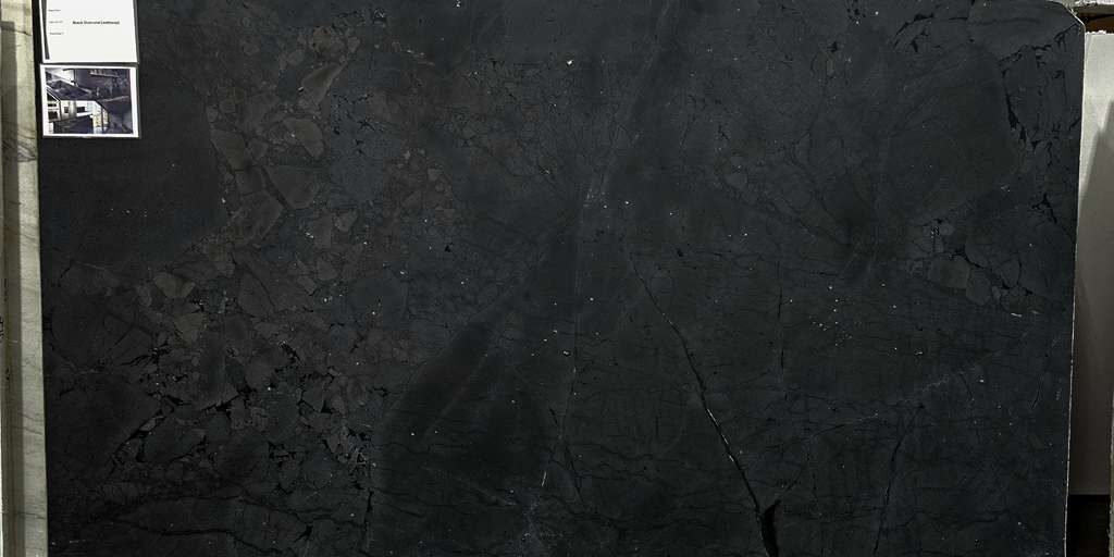 Full slab of Black Diamond Quartzite with dark tones, organic textures, and striking natural veining across the surface.